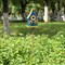 Set of 2 52.5''H Blue Metal Sunflower Decorative Garden Birdhouse with Stake